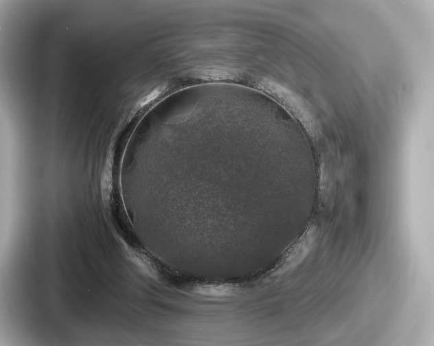 X0000087640202200705101054