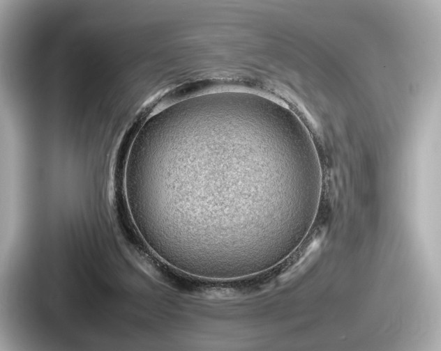 X0000087640203200705101054