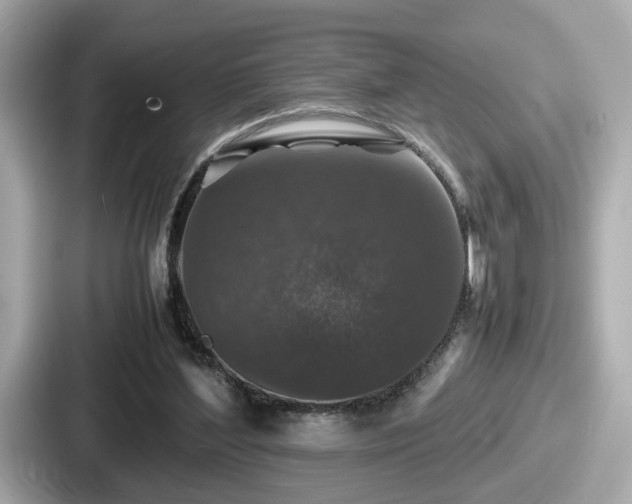 X0000087640204200705101054