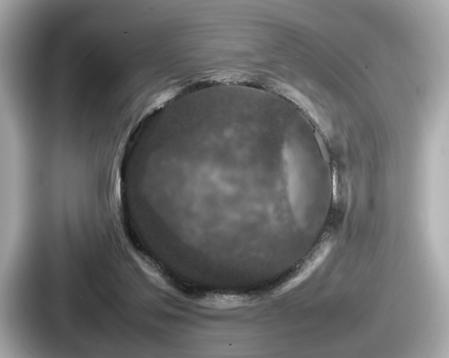 X0000087640205200705101054