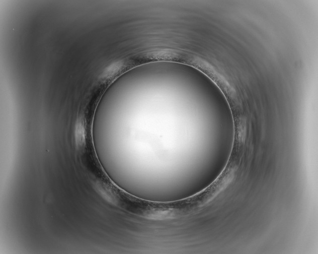 X0000087640206200705101054