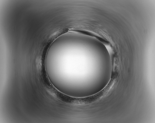 X0000087640207200705101054