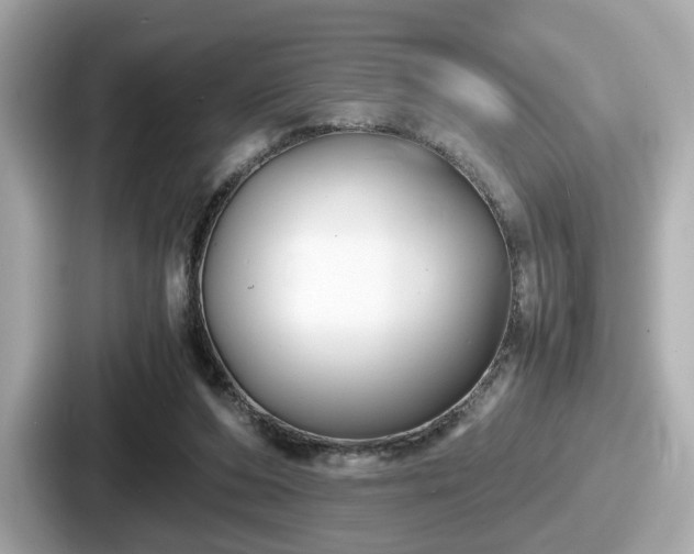 X0000087640208200705101054