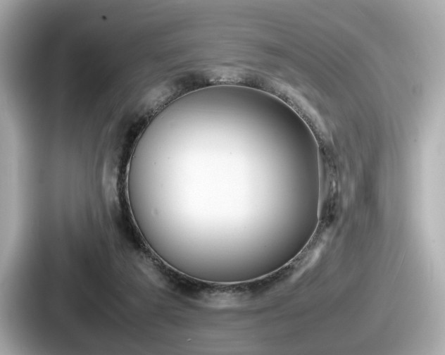 X0000087640209200705101054