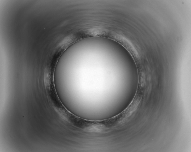 X0000087640210200705101054