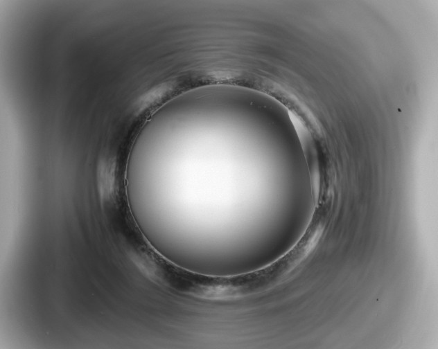 X0000087640212200705101054