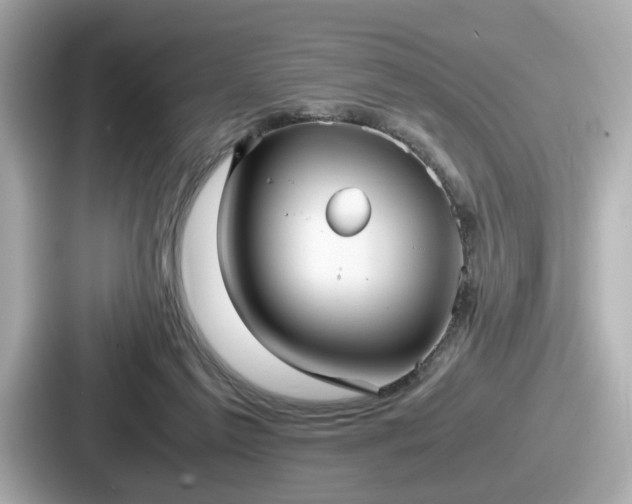 X0000087640213200705101054