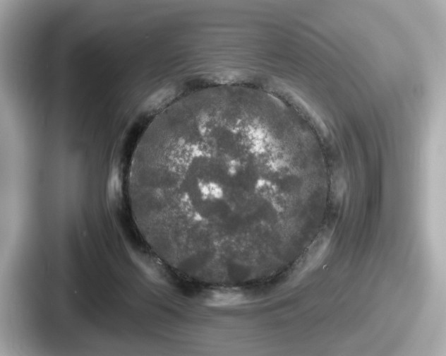 X0000087640214200705101054