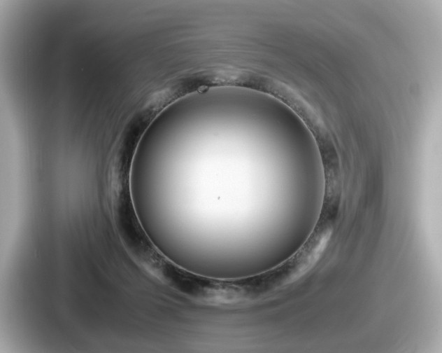 X0000087640215200705101054