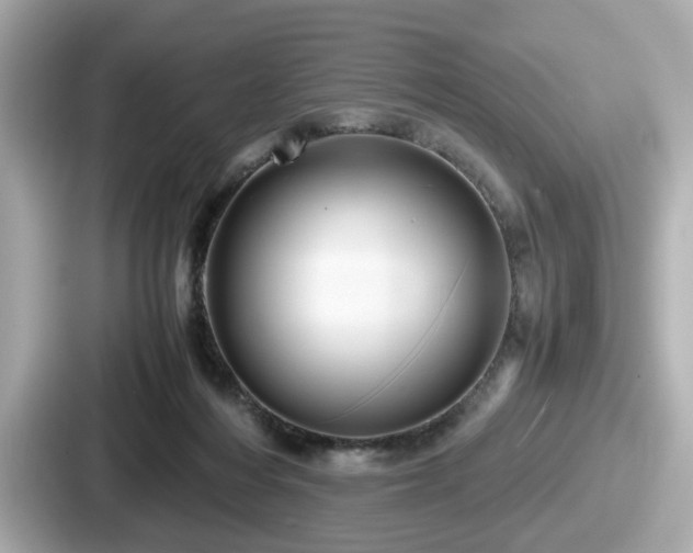 X0000087640216200705101054