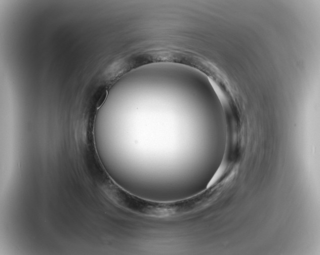 X0000087640217200705101054