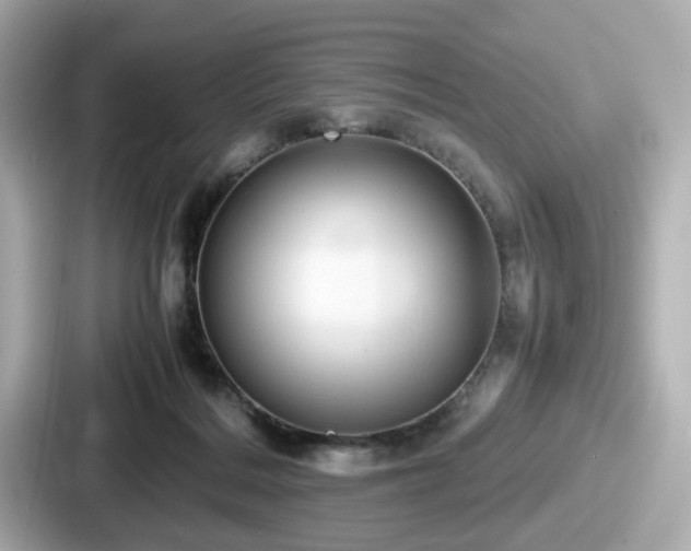 X0000087640220200705101054