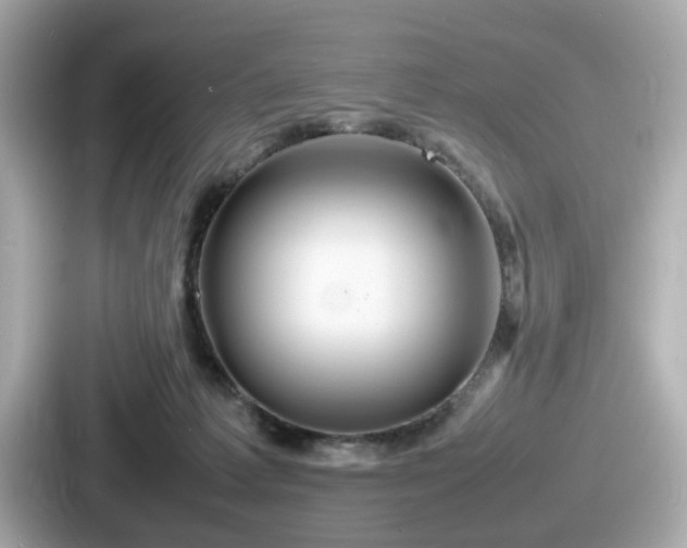 X0000087640221200705101054