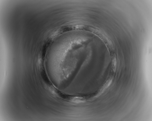 X0000087640222200705101054