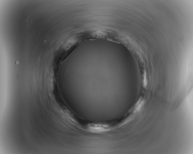 X0000087640223200705101054