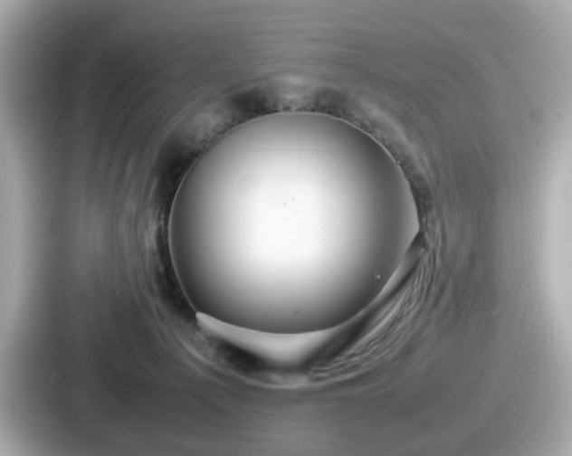 X0000087640225200705101054