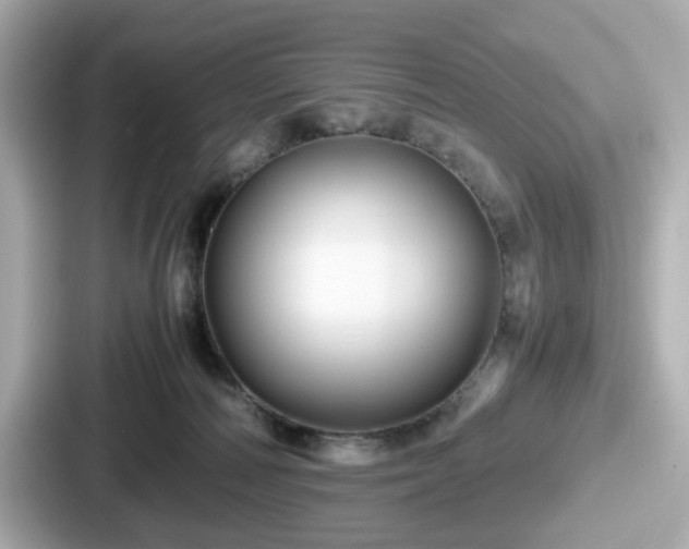 X0000087640226200705101054