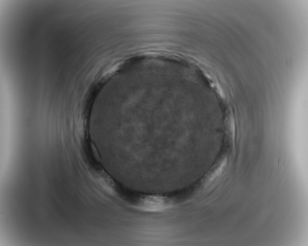 X0000087640227200705101054