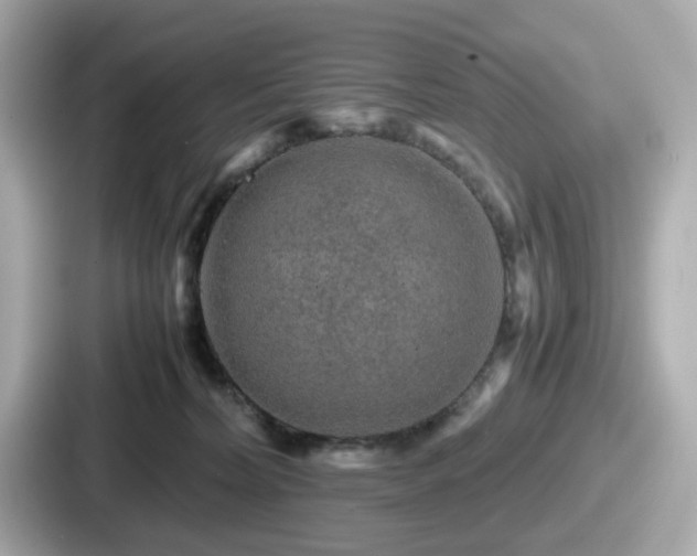 X0000087640228200705101054