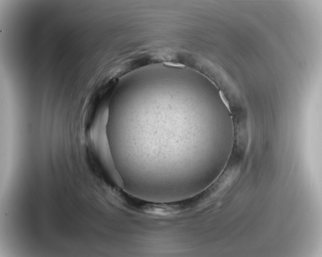 X0000087640229200705101054