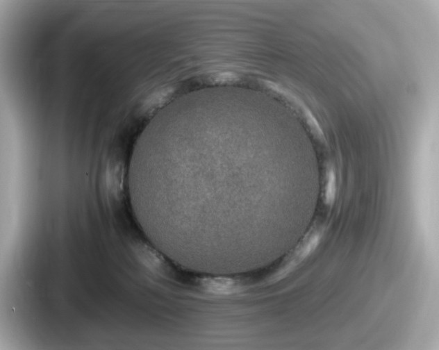 X0000087640230200705101054