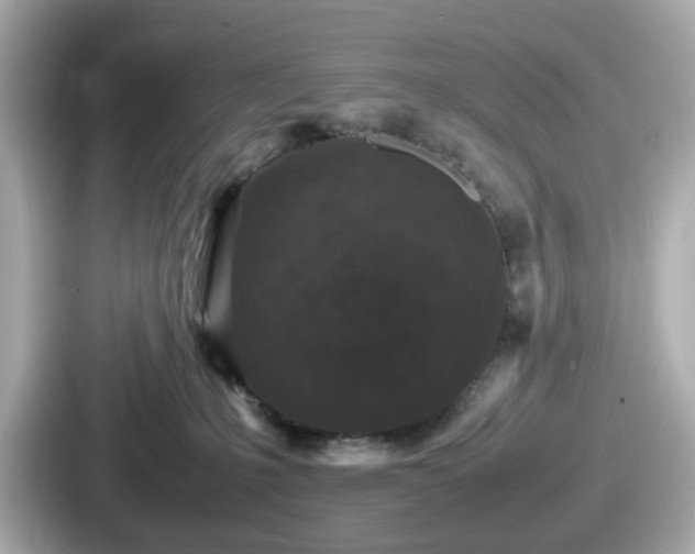 X0000087640231200705101054