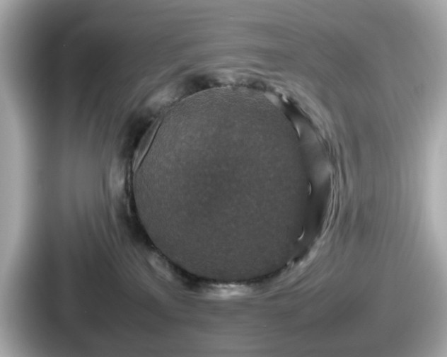 X0000087640233200705101054