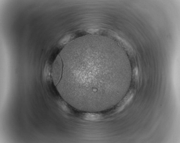 X0000087640234200705101054