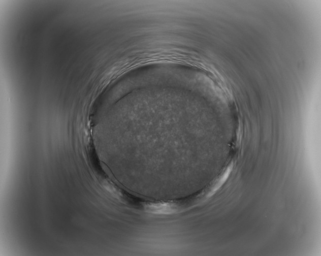 X0000087640237200705101054