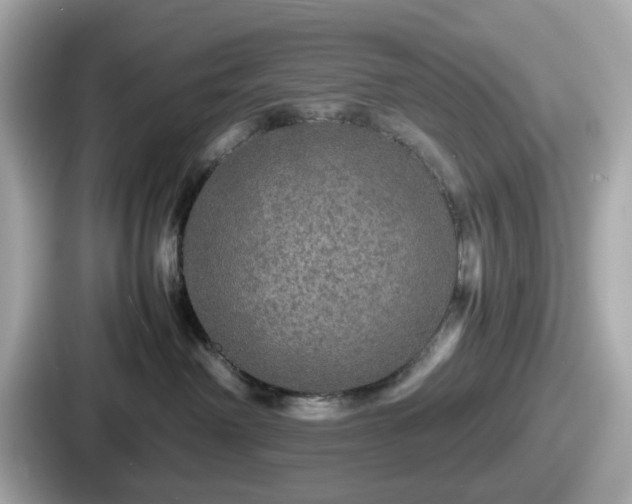 X0000087640238200705101054