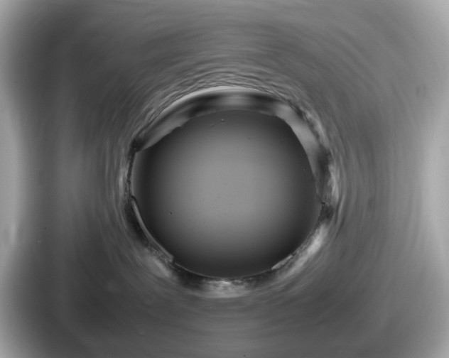 X0000087640239200705101054