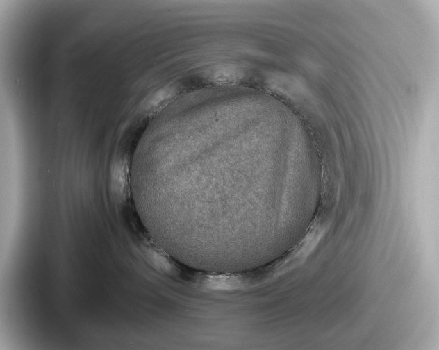 X0000087640240200705101054