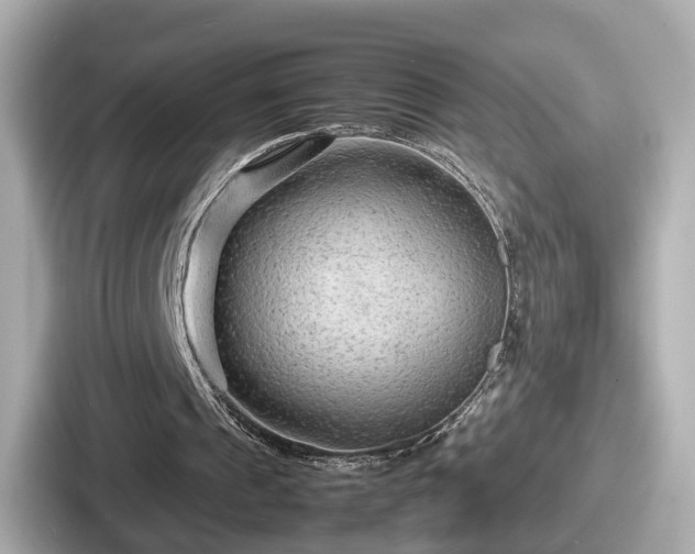 X0000087640241200705101053