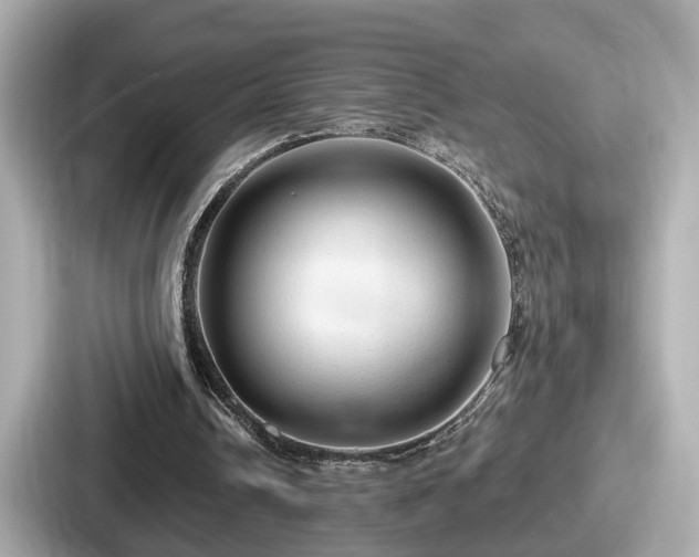 X0000087640242200705101053