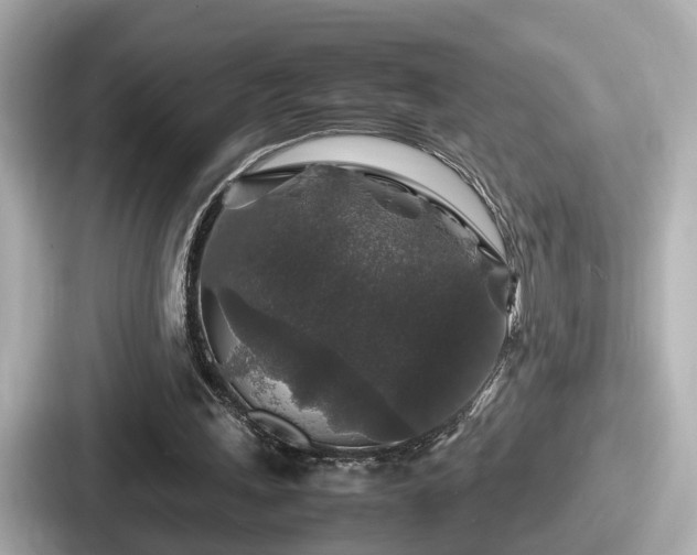 X0000087640243200705101053