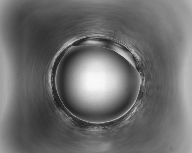 X0000087640244200705101053