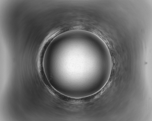 X0000087640245200705101053