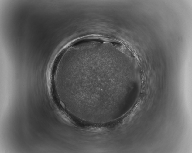 X0000087640247200705101053