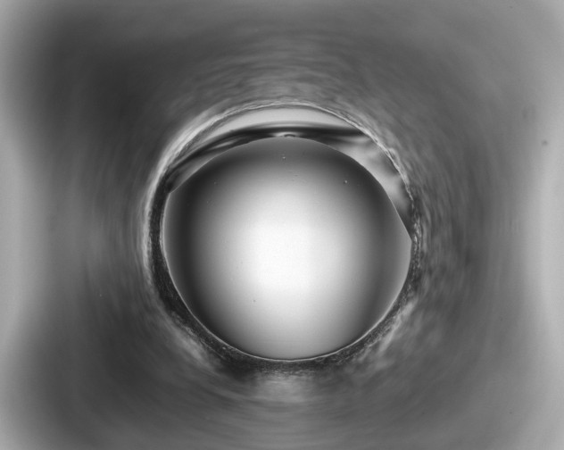 X0000087640248200705101053