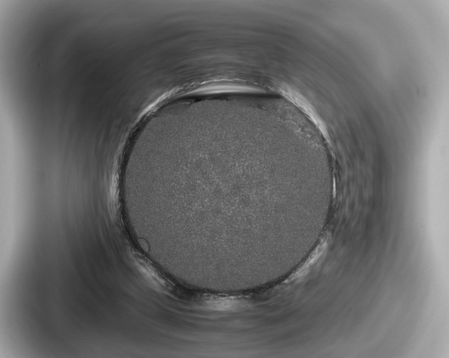 X0000087640249200705101053