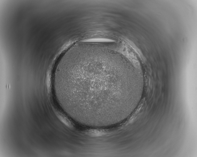 X0000087640250200705101053