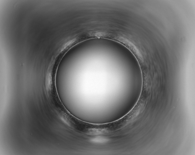 X0000087640251200705101053