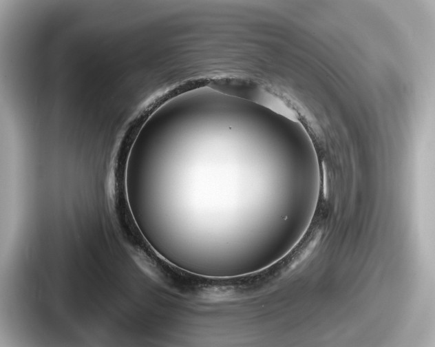 X0000087640252200705101053