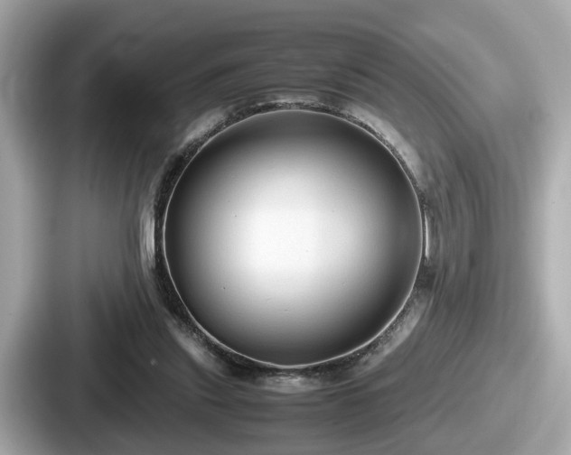 X0000087640253200705101053