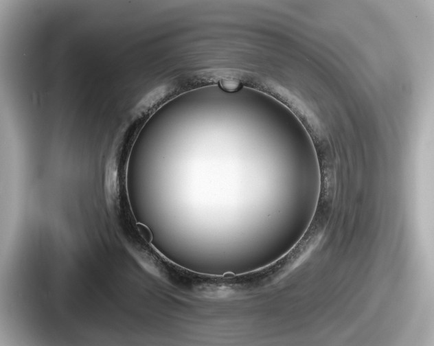 X0000087640254200705101053