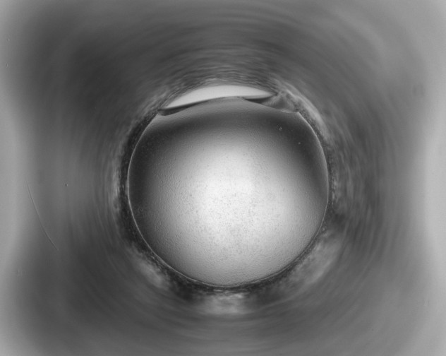 X0000087640257200705101053