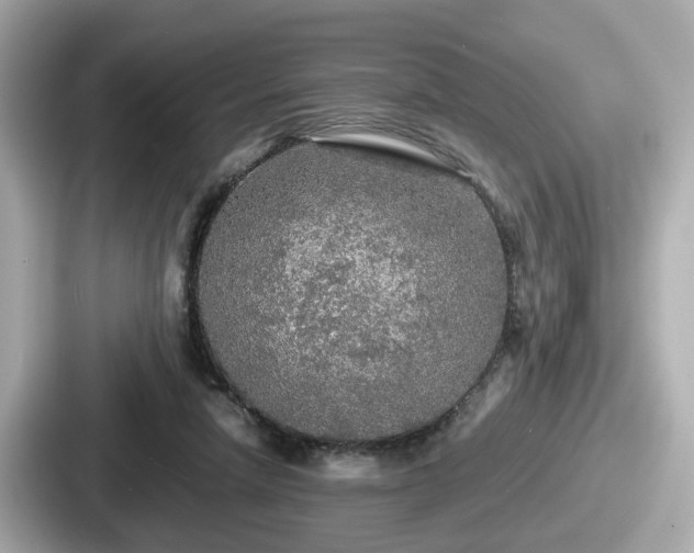 X0000087640258200705101053