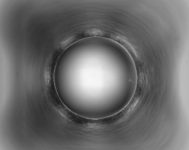 X0000087640259200705101053