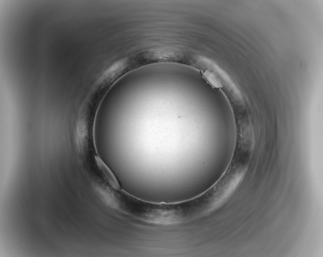 X0000087640260200705101053