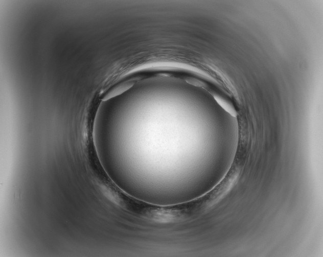 X0000087640261200705101053